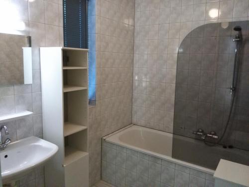 een badkamer met een douche, een bad en een wastafel bij Bospark Nuwenspete in Nunspeet