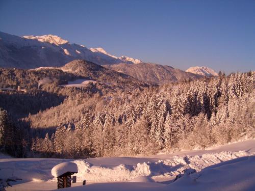 a snowy mountain with snow covered trees and mountains at Apartmenthaus Vergissmeinnicht in Abtenau