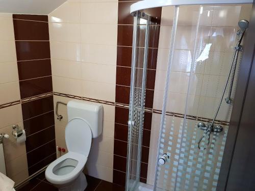 a bathroom with a toilet and a shower at Casa David Comarnic in Comarnic