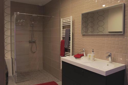 a bathroom with a sink and a shower at dampierrelove in Dampierre-les-Bois