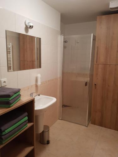 リプノ・ナト・ヴルタヴォウにあるSport Apartmentのバスルーム(シャワー、洗面台、トイレ付)