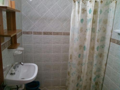 baño con lavabo y cortina de ducha en Lo del Ruso en Las Grutas