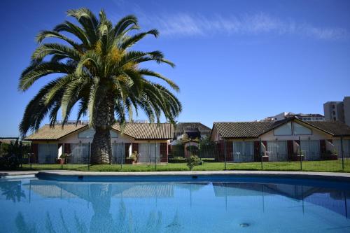 a palm tree in front of a house with a swimming pool at Apart Hotel Y Cabanas Vegasur in La Serena
