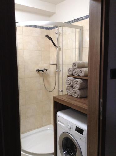 Kúpeľňa v ubytovaní Apartament STUDENCKA