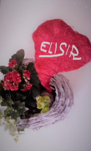 a red hat with the word on it next to flowers at B&B Elisir in Albenga