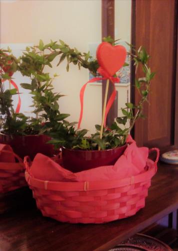 two plants in a basket on a table at B&B Elisir in Albenga