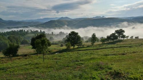 a misty valley with trees in a field at Casa Glod in Glod