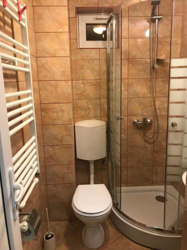 a small bathroom with a toilet and a shower at Casa Bucurr in Afumaţi