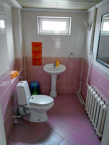 a pink bathroom with a toilet and a sink at Tian-Shan Guest House in Balykchy