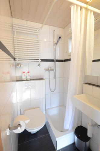 a white bathroom with a shower and a toilet at The Boat House in Goldswil