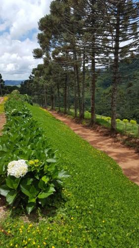 Taman di luar Pousada Colina das Andorinhas