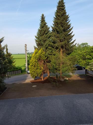 two trees in a parking lot next to a road at Ferienhaus Kaiserhof in Markkleeberg