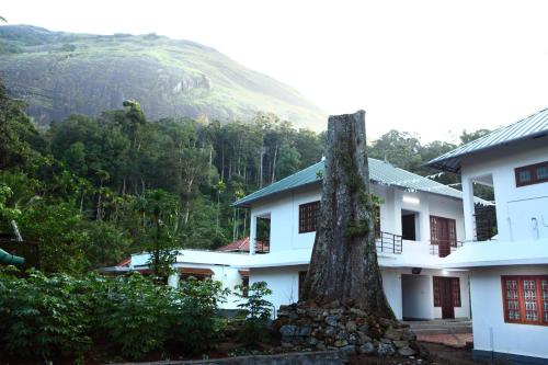 a house with a tree in front of a mountain at Green Shades in Munnar