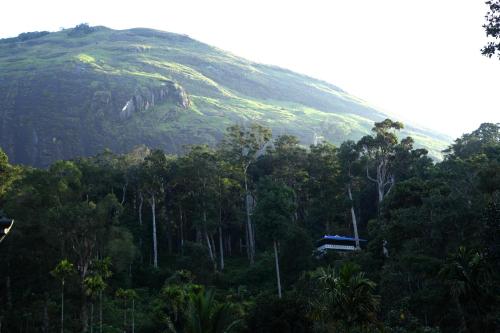 a hill with a blue bus in front of a mountain at Green Shades in Munnar