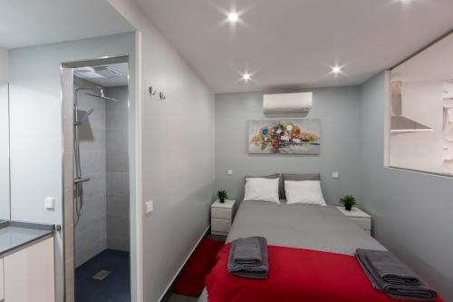 a small bedroom with a bed and a shower at WindRose 4 in Madrid