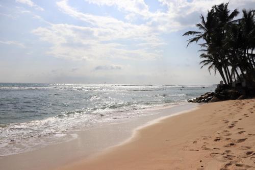 a sandy beach with palm trees and the ocean at Sunshine Guest in Madihe East