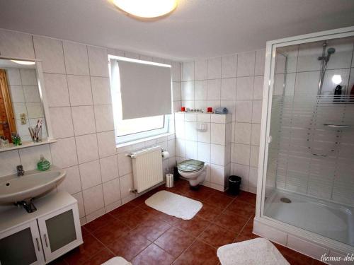 a bathroom with a shower and a toilet and a sink at Ferienwohnung Bornhöft in Burg