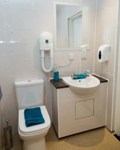 a bathroom with a toilet and a sink and a mirror at Cote Ghyll Mill at Osmotherley in Osmotherley