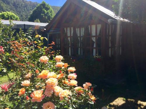 un arbusto de rosas delante de una casa en Tu Cabaña en San Martín de los Andes