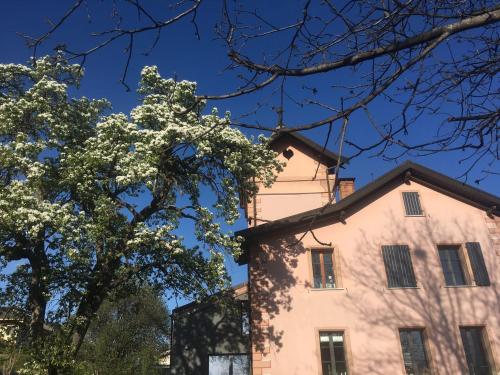 a building with a tree in front of it at Le Manoir de Champlan in Grimisuat