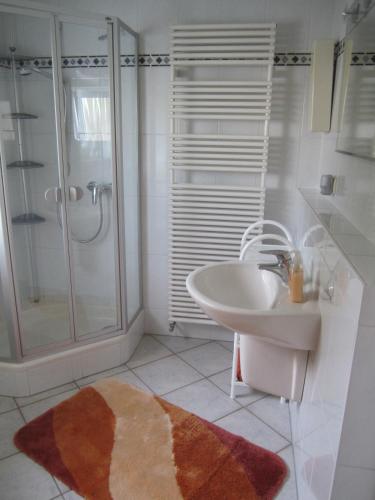 a bathroom with a sink and a shower and a toilet at Haus Alexander in Mechernich
