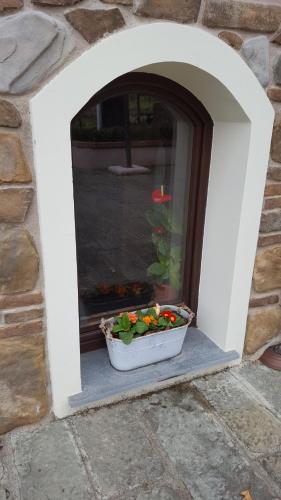 a pot of flowers sitting in a window at B&B Podere Montese in Villafranca in Lunigiana