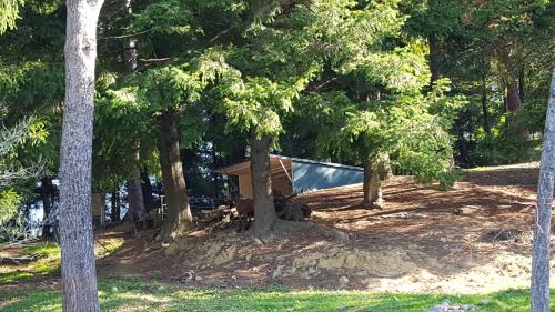 a boat sitting in the middle of trees at B&B Podere Montese in Villafranca in Lunigiana