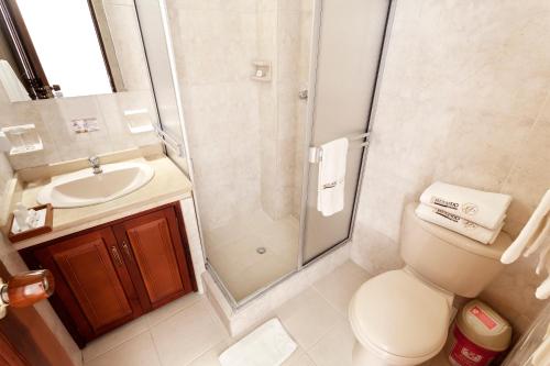 a bathroom with a shower and a toilet and a sink at Hotel Fernando Plaza in Pasto