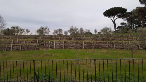 a fence in front of a field with a tree at B&B Podere Montese in Villafranca in Lunigiana