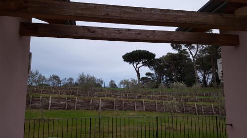 a view of a field with a fence and a tree at B&B Podere Montese in Villafranca in Lunigiana