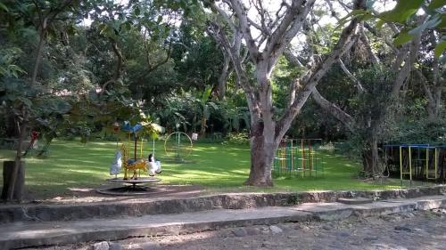 a park with a playground with a tree at Hotel Carrizal Spa in Apazapan