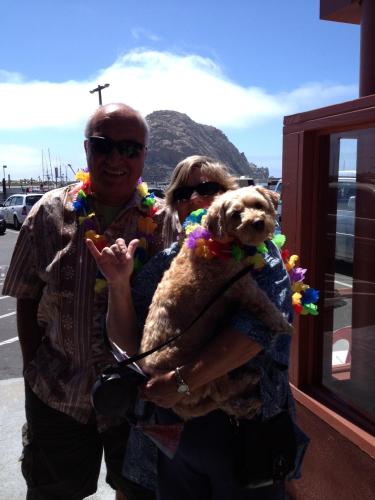 a man and a woman holding a dog with a mountain in the background at Bayfront Inn in Morro Bay
