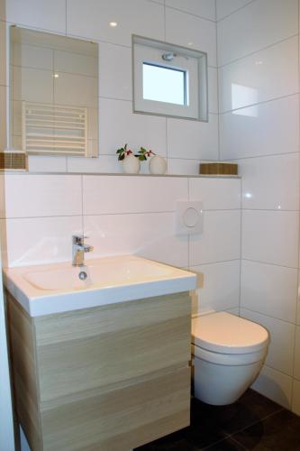 a bathroom with a sink and a toilet at vakantiewoning 72 in Oostkapelle