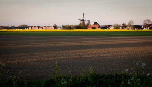 Imagen de la galería de Bruist, en Cadzand