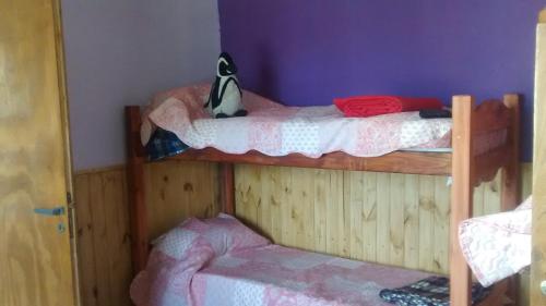 Una cama o camas cuchetas en una habitación  de Max
