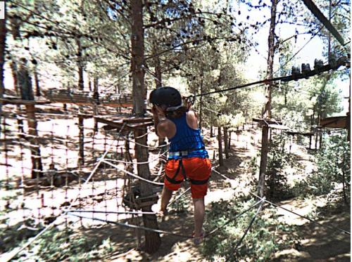a boy standing on a rope bridge in the woods at Terres d'Amanar in Tahannout