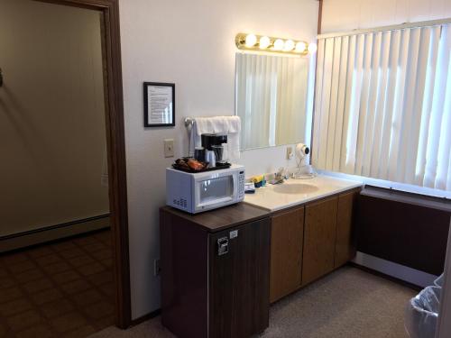 a bathroom with a sink and a microwave on a counter at Coho Motel in Kewaunee