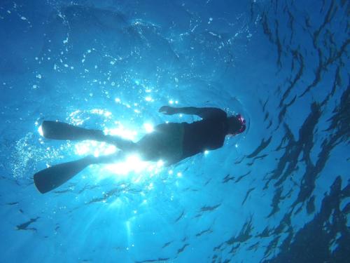 een persoon in een wetsuit zwemmend in het water bij Seven Colors Ishigakijima in Ishigaki Island