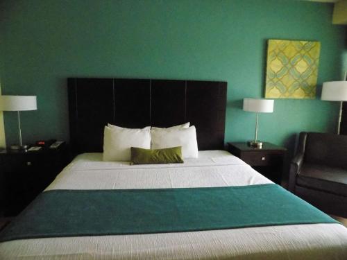 a bedroom with a large bed with a green wall at Best Western Plus Deerfield Beach Hotel & Suites in Deerfield Beach
