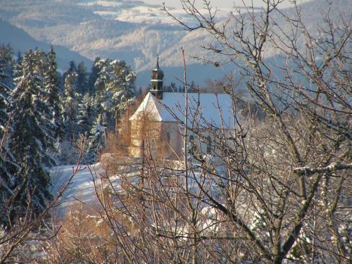 a building on top of a mountain with trees at Hotel Sternen in Lenzkirch