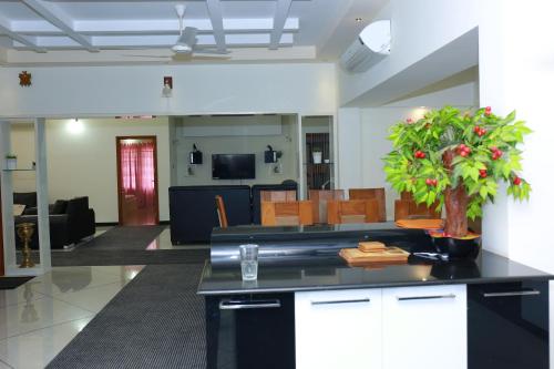 a living room with a table with a plant on it at Shamrock Home Stay (5-Bedroom Bungalow) in Thiruvalla