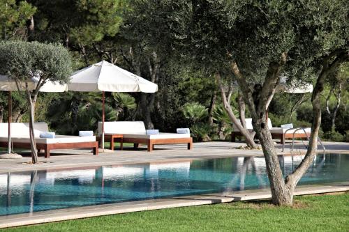 a swimming pool with benches and an umbrella next to a tree at Can Simoneta - Adults Only in Canyamel