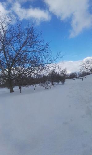 Mount Etna Chalet зимой