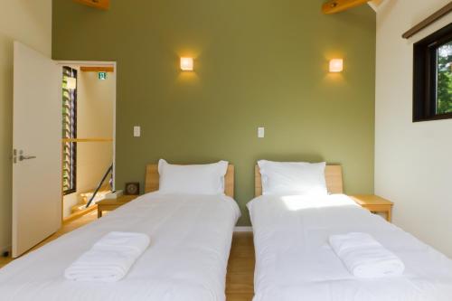two beds in a room with green walls at Gakuto Villas in Hakuba