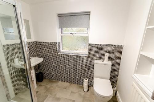 バリーキャッスルにあるfairhill holiday letのバスルーム(トイレ、洗面台付)、窓が備わります。