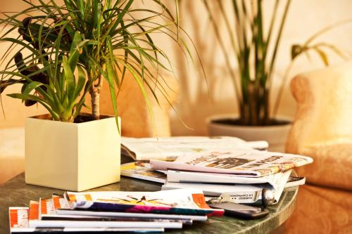 a table with a potted plant and books on it at Hotel La Campagnola in Fucecchio