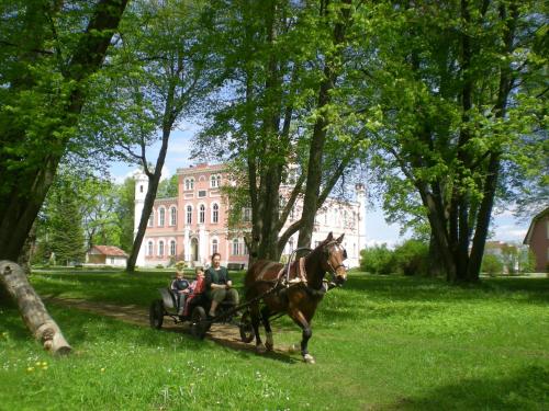 a horse pulling a carriage in front of a building at Birinu Pils in Bīriņi