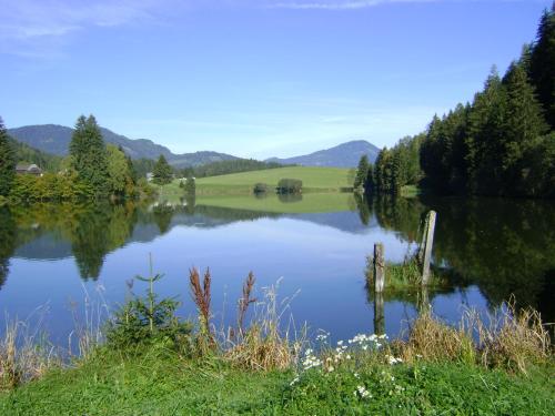 a view of a lake with mountains in the background at Gasthof Fischerwirt in Zeutschach