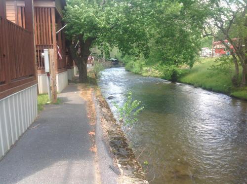 a river next to a sidewalk next to a street at Qualla Cabins and Motel Cherokee near Casino in Whittier