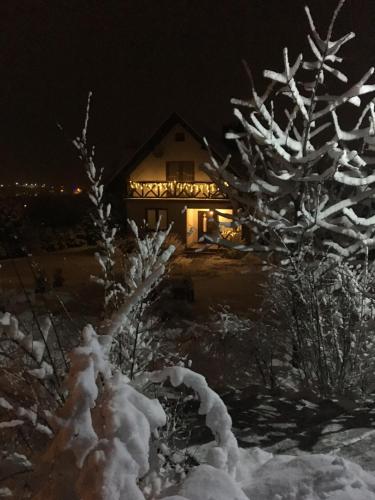 een huis 's nachts met sneeuw bedekte bomen voor de deur bij Studio Nina in Raba Wyżna
